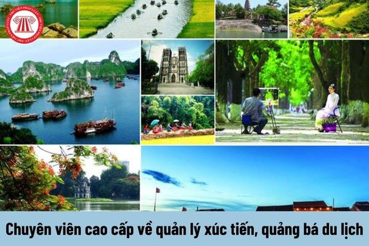 Chuyên gia Hotspot Matrix phân tích: Ba Con Cừu - công ty đứng sau và marketing video