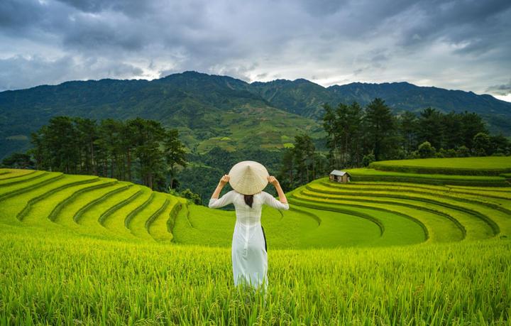 Từ 4 loại cây dụ rắn bò vào nhà, đến chiến lược content: Hotspot Matrix chia sẻ
