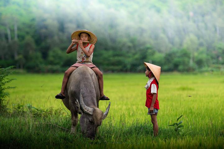 Chuyên gia Hotspot Matrix phân tích: Lông mày phong thủy có thực và marketing video