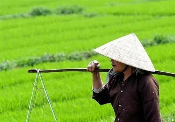 Thu hút Khách Hàng Bảo Hiểm với Video Tư vấn từ Hotspot Matrix