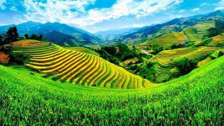 Hotspot Matrix: Khởi nghiệp an toàn, bền vững với video ngắn